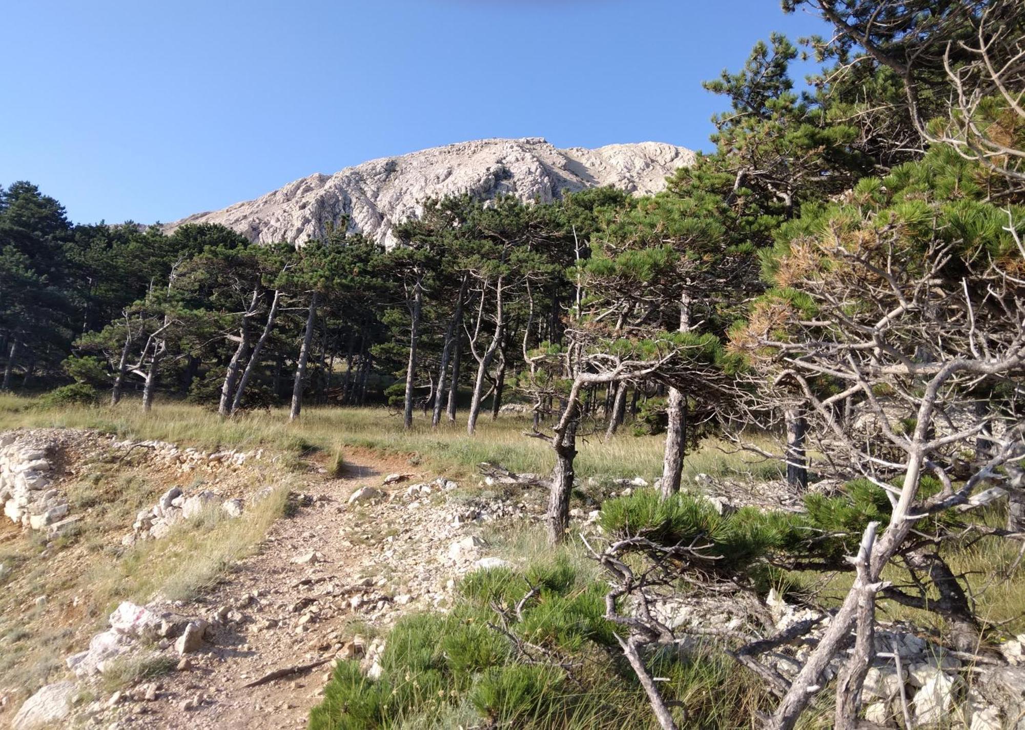 Apartmani Baska S Pogledom Na More Bagian luar foto